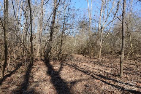 000 Rambling Creek Road Tryon NC 28782
