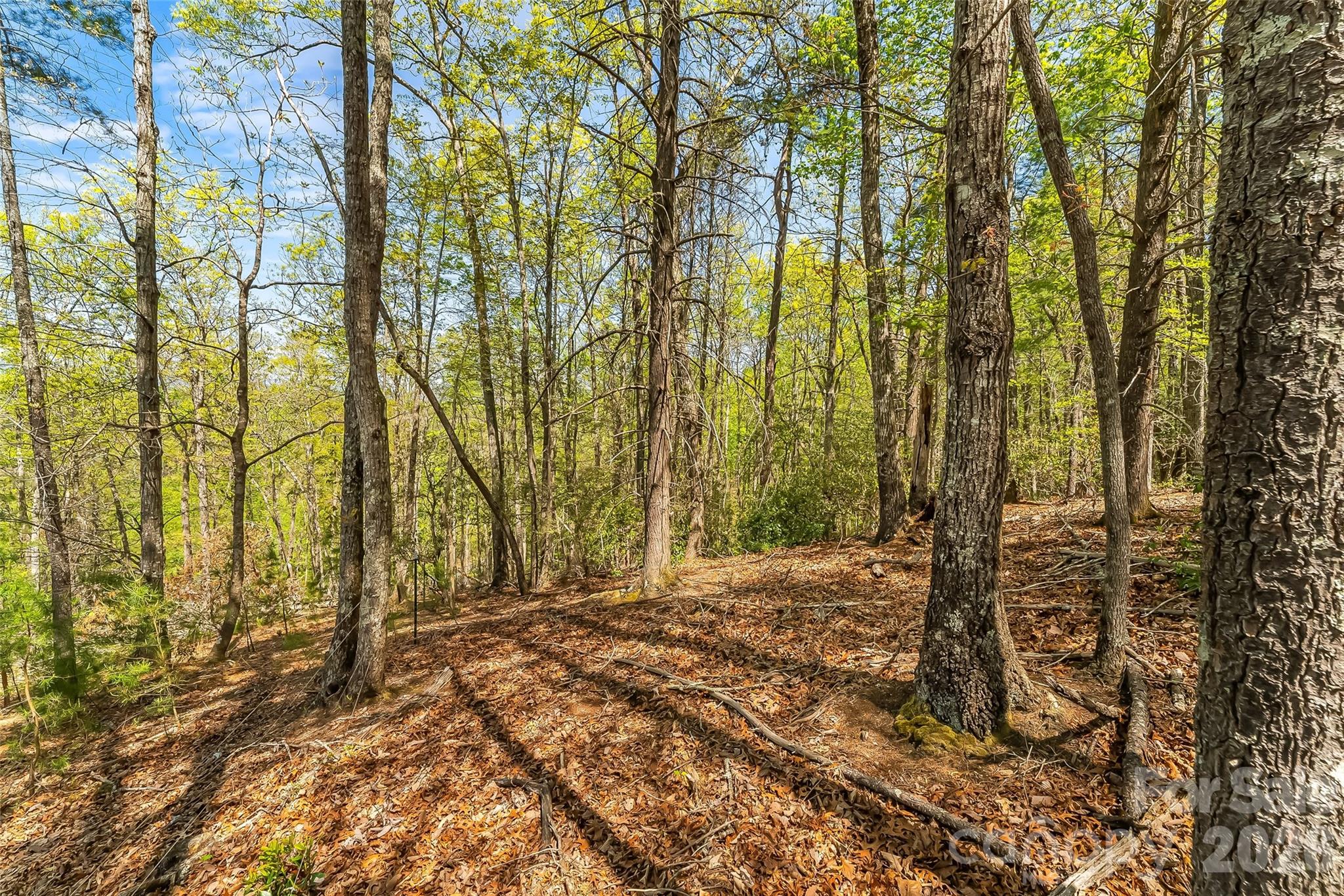 1006 High Trail Drive Nebo NC 28761