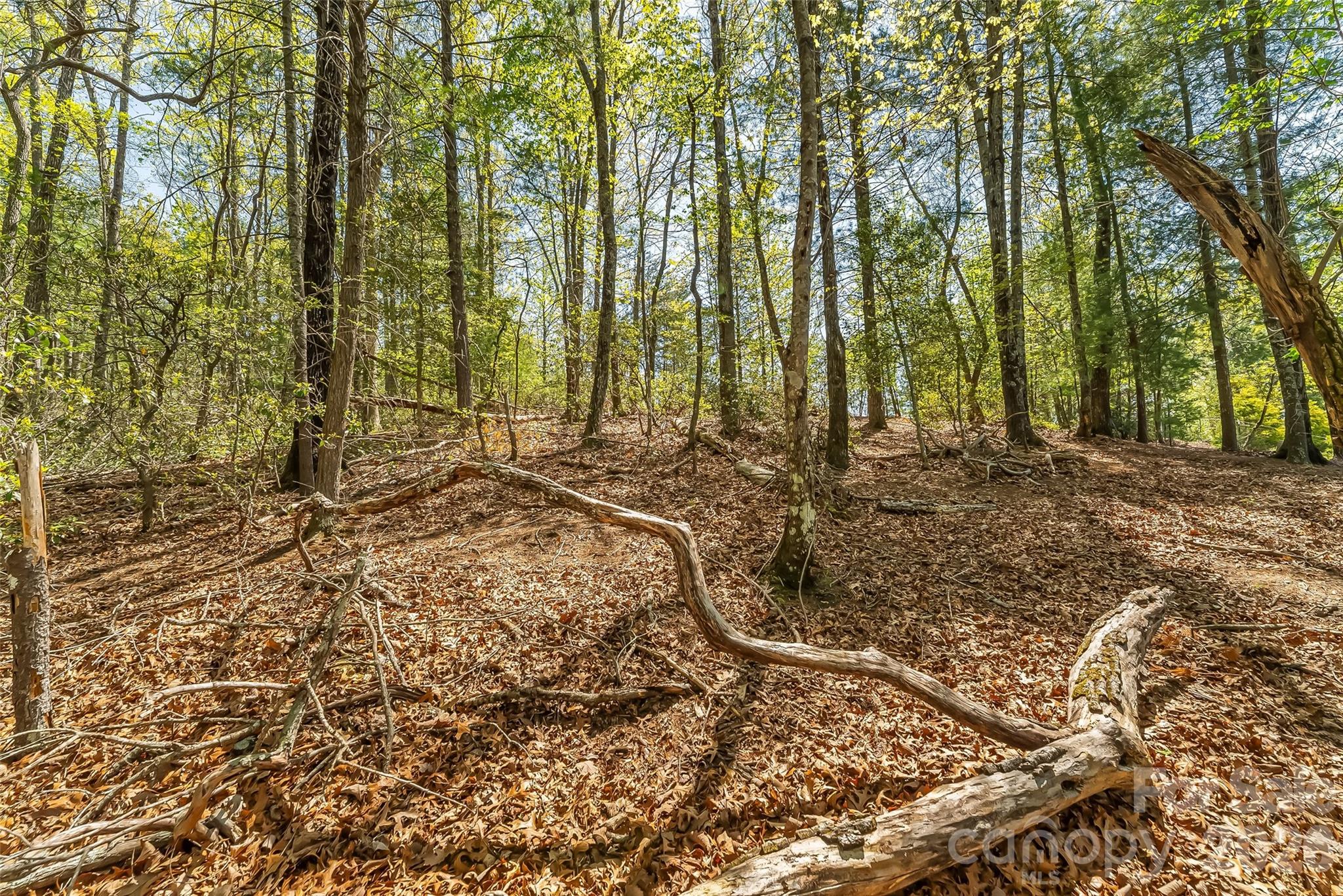 1006 High Trail Drive Nebo NC 28761