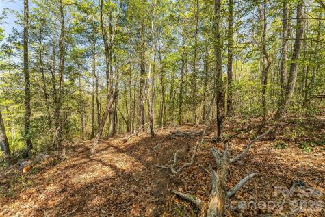 1006 High Trail Drive Nebo NC 28761