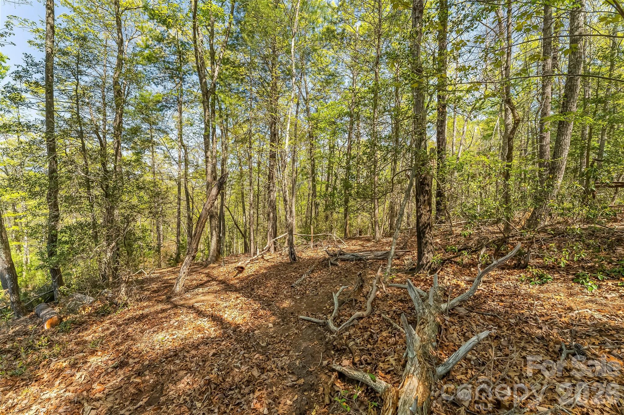 1006 High Trail Drive Nebo NC 28761