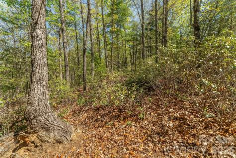 1006 High Trail Drive Nebo NC 28761