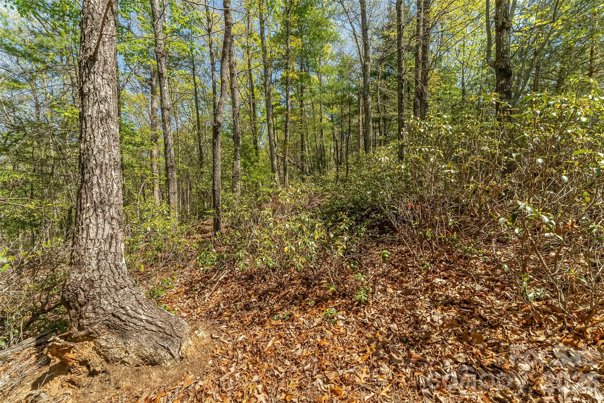 1006 High Trail Drive Nebo NC 28761