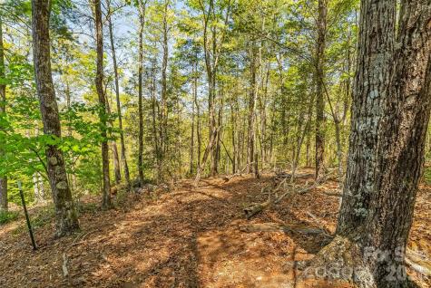 1006 High Trail Drive Nebo NC 28761