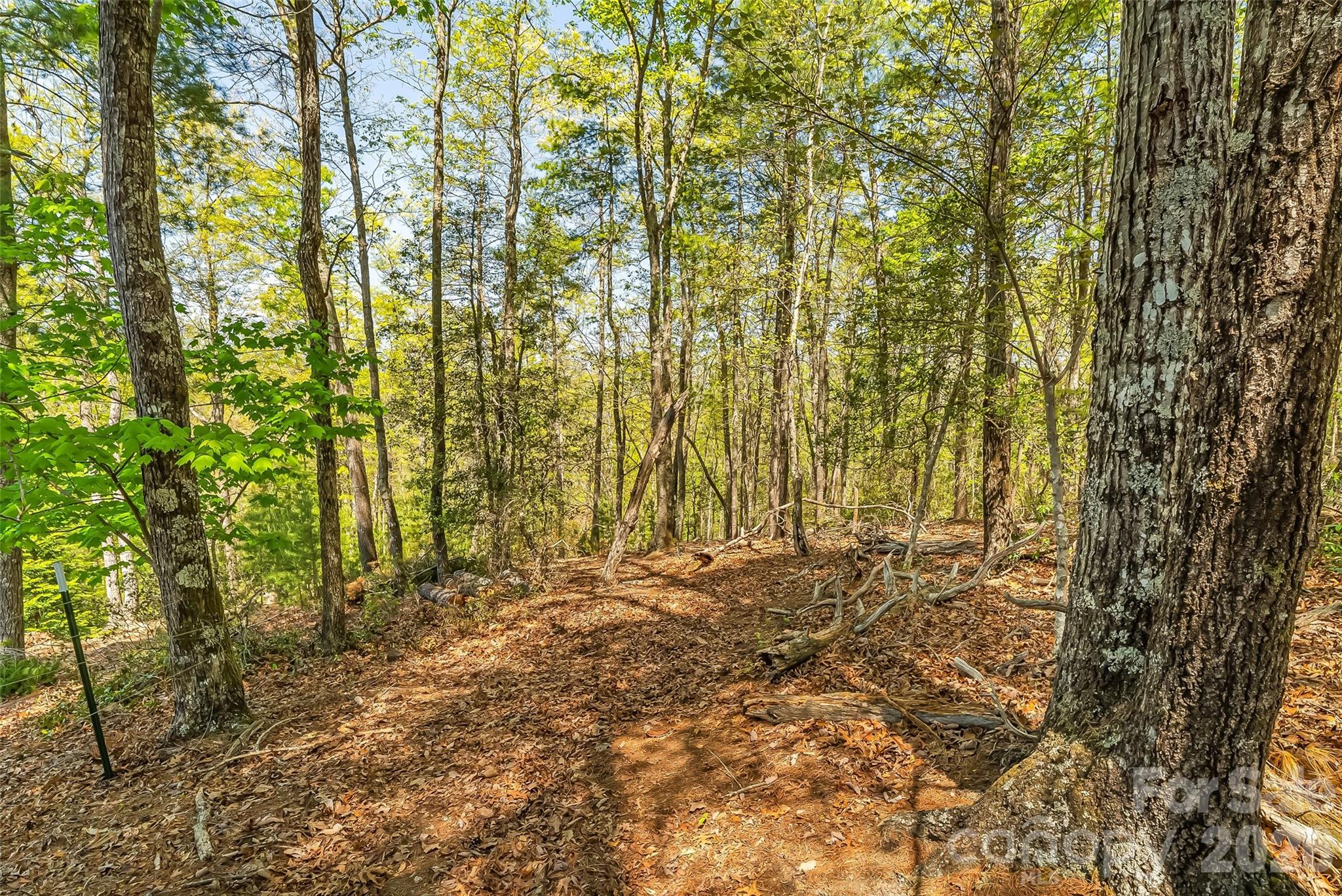 1006 High Trail Drive Nebo NC 28761