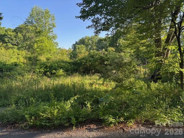 202 Dundee Street Hendersonville NC 28791