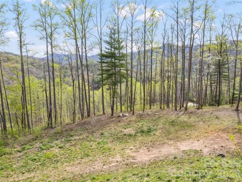 00 Willow Lane Robbinsville NC 28711