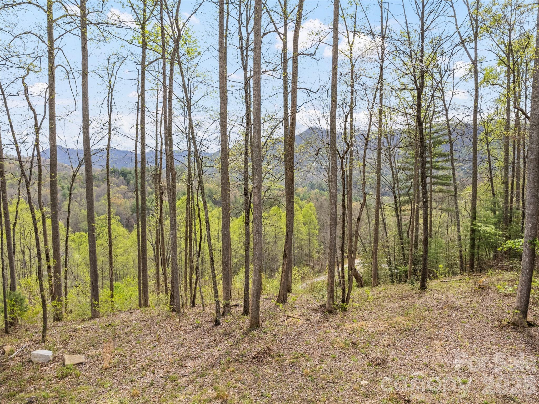 00 Willow Lane Robbinsville NC 28711