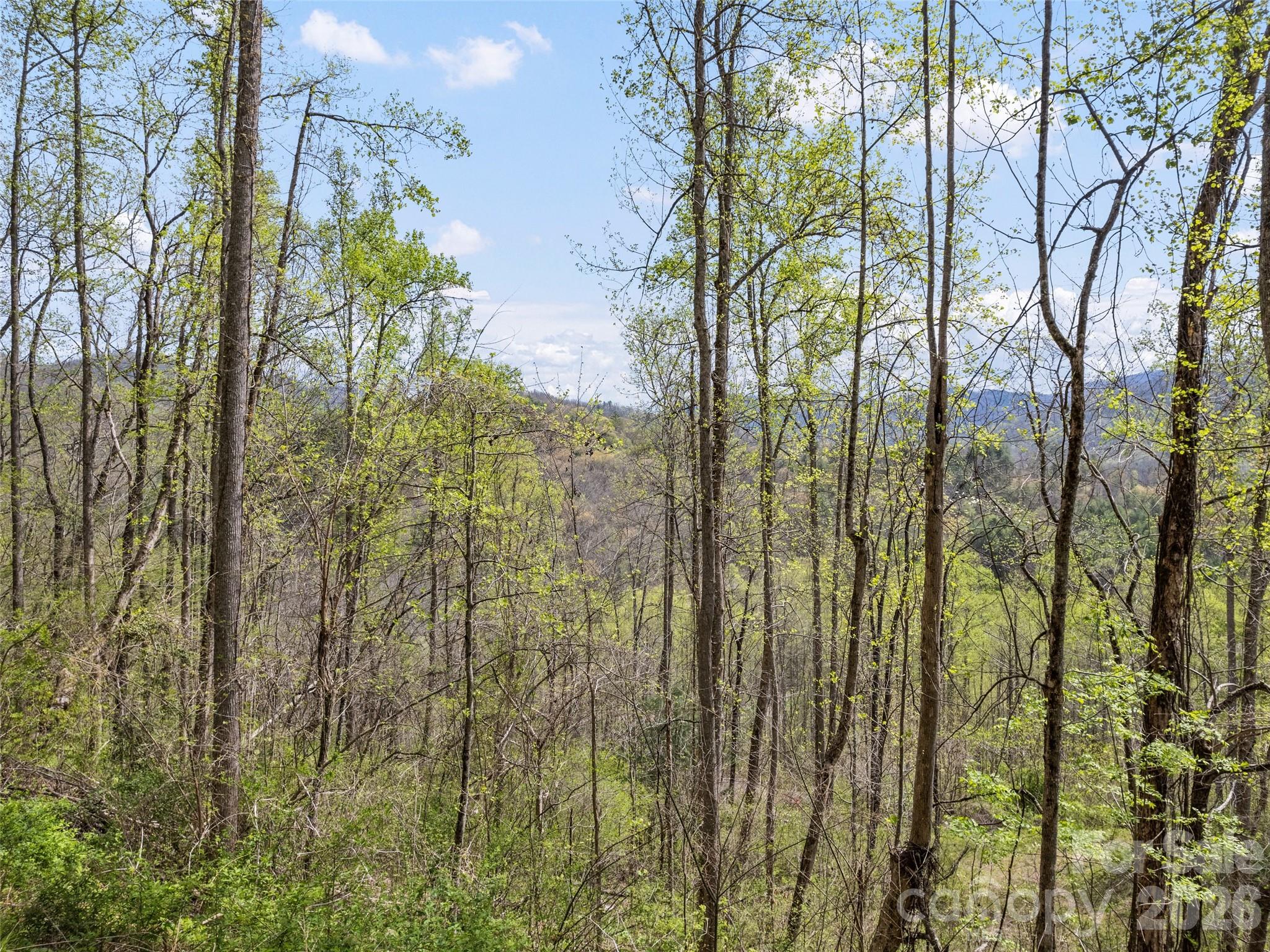00 Willow Lane Robbinsville NC 28711
