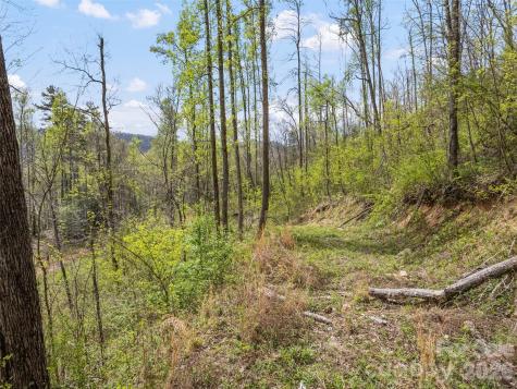 00 Willow Lane Robbinsville NC 28711