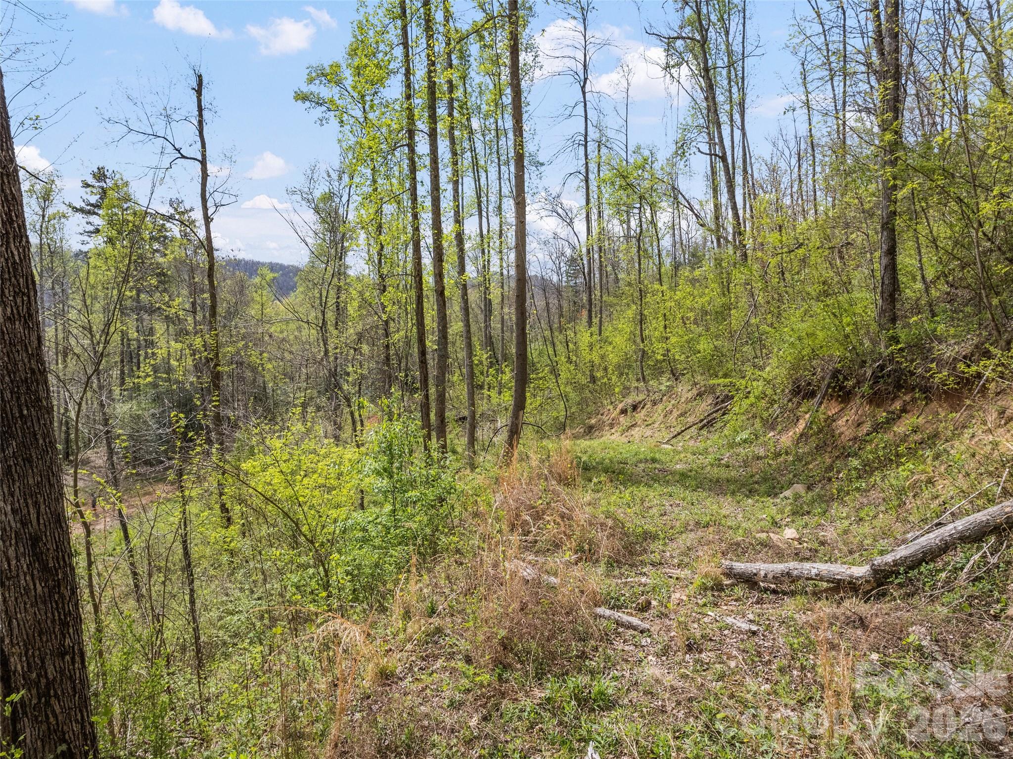 00 Willow Lane Robbinsville NC 28711