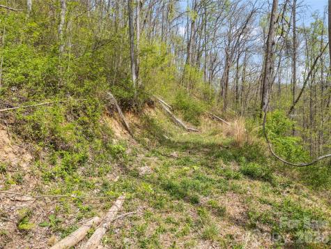 00 Willow Lane Robbinsville NC 28711