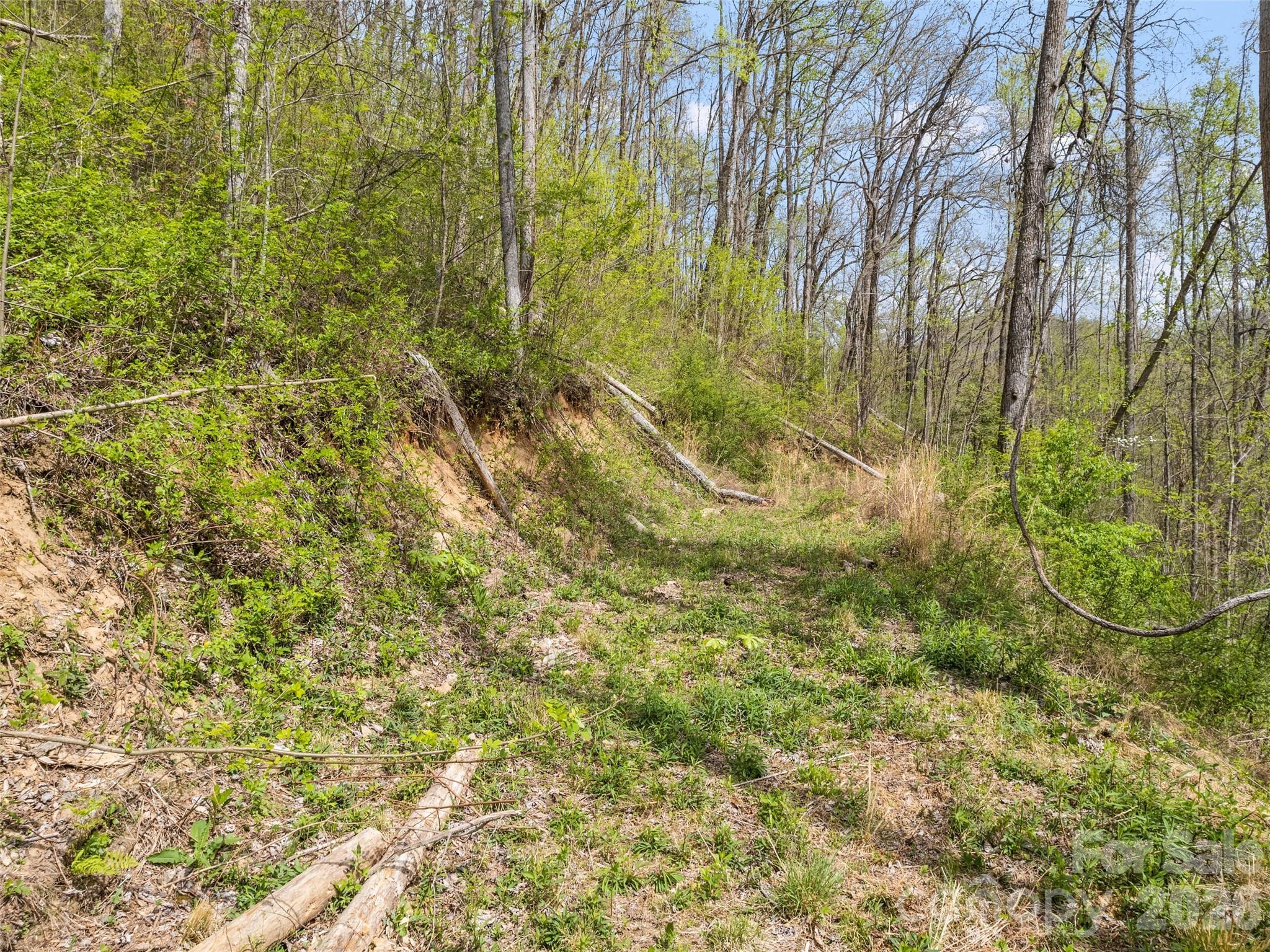00 Willow Lane Robbinsville NC 28711