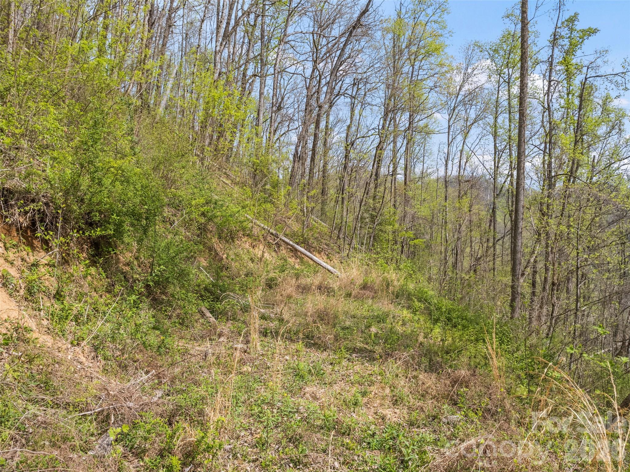 00 Willow Lane Robbinsville NC 28711