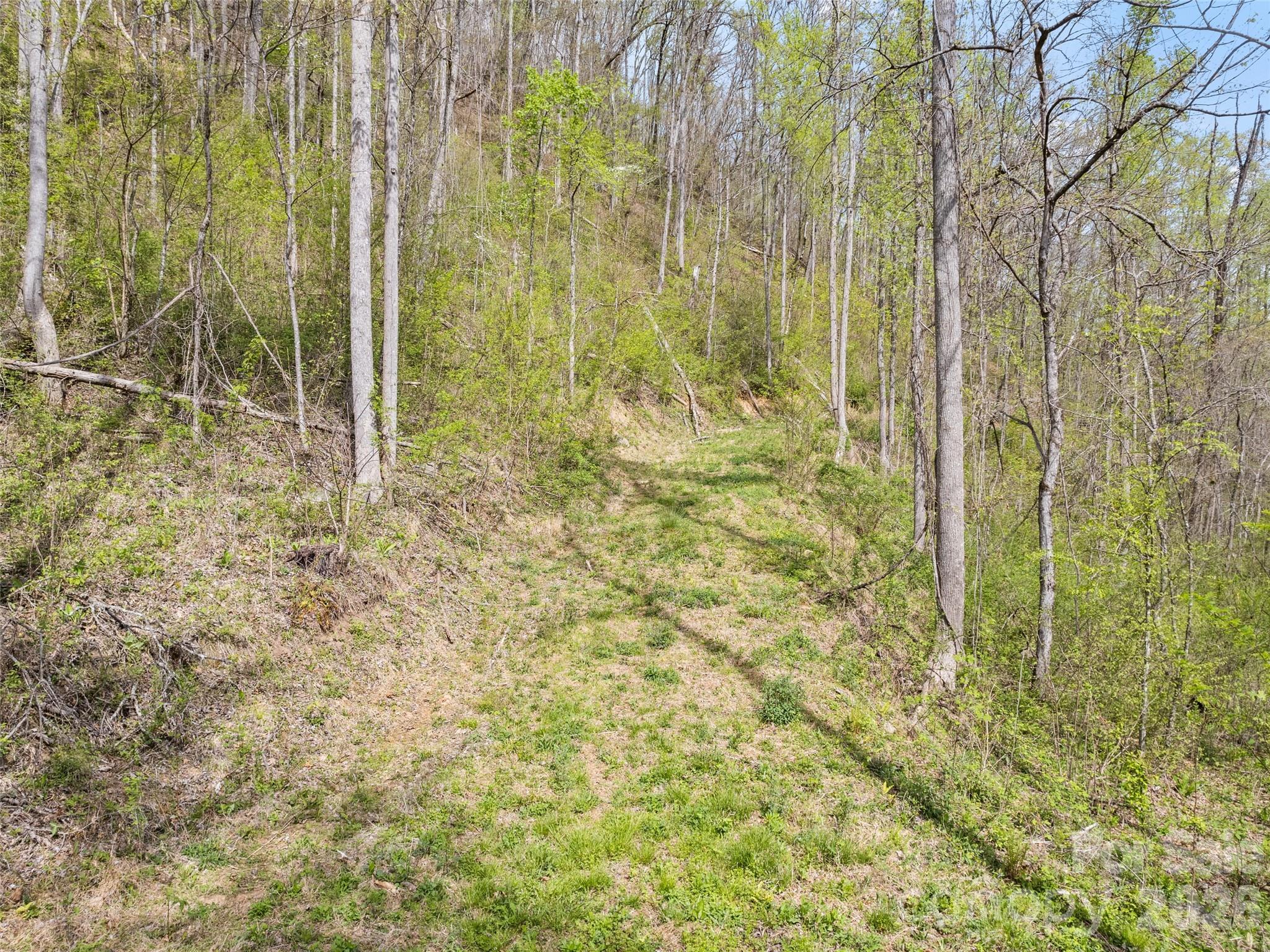 00 Willow Lane Robbinsville NC 28711