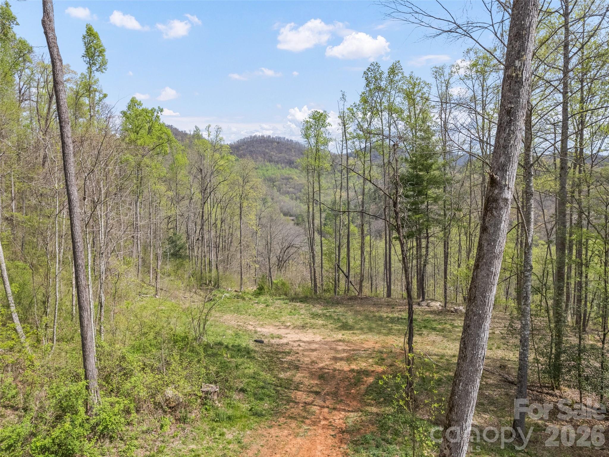 00 Willow Lane Robbinsville NC 28711