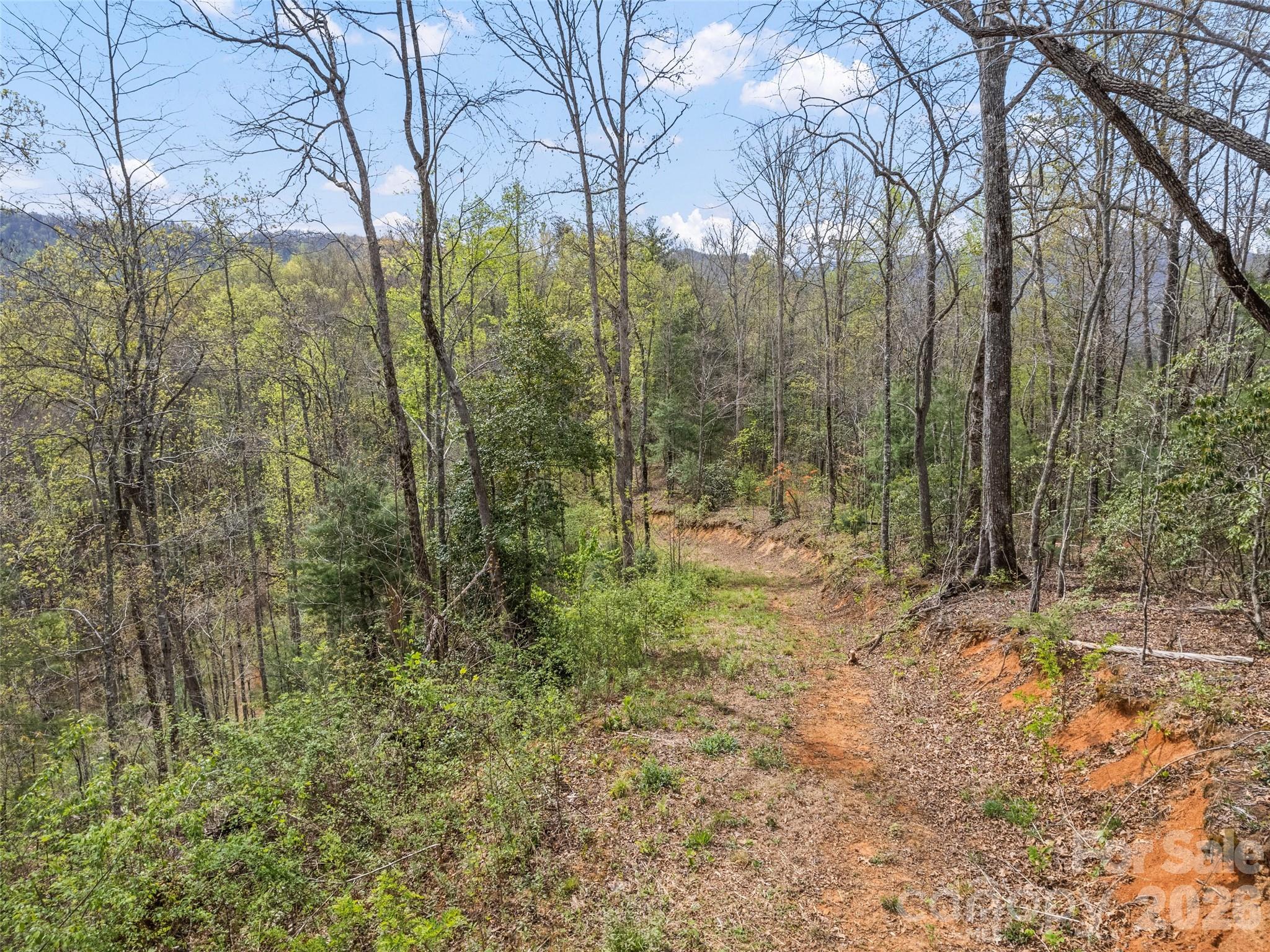 00 Willow Lane Robbinsville NC 28711
