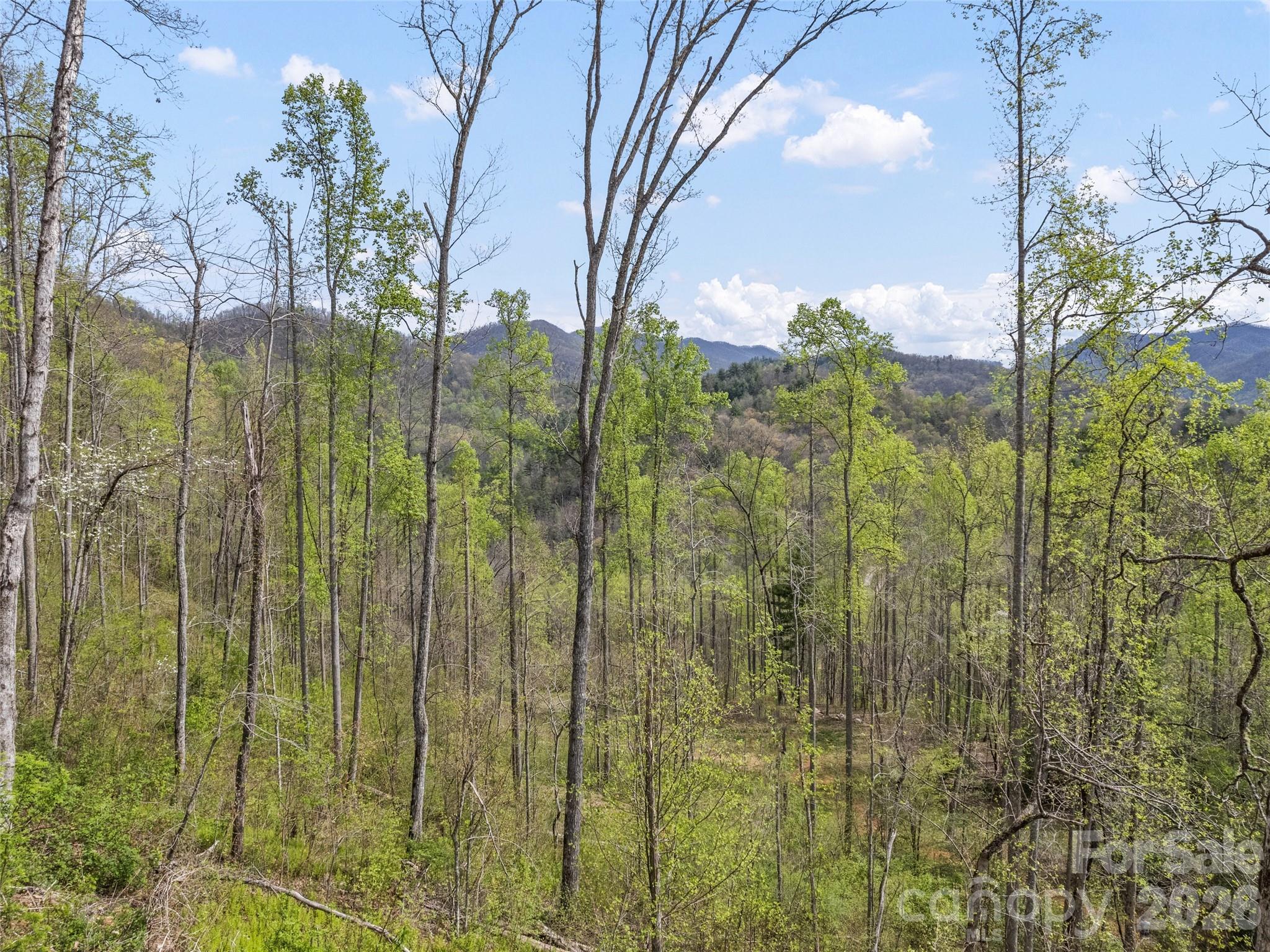 00 Willow Lane Robbinsville NC 28711