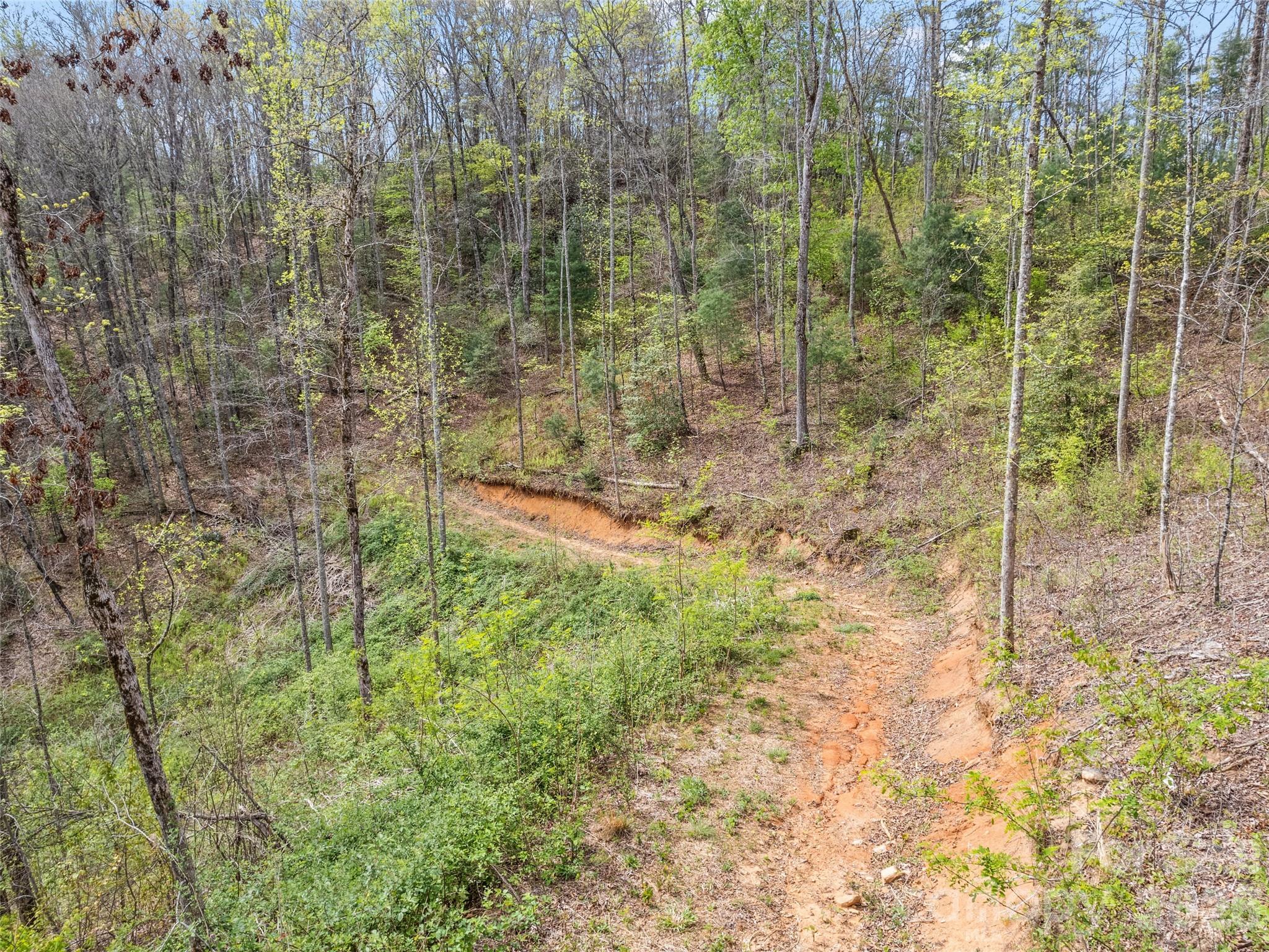 00 Willow Lane Robbinsville NC 28711