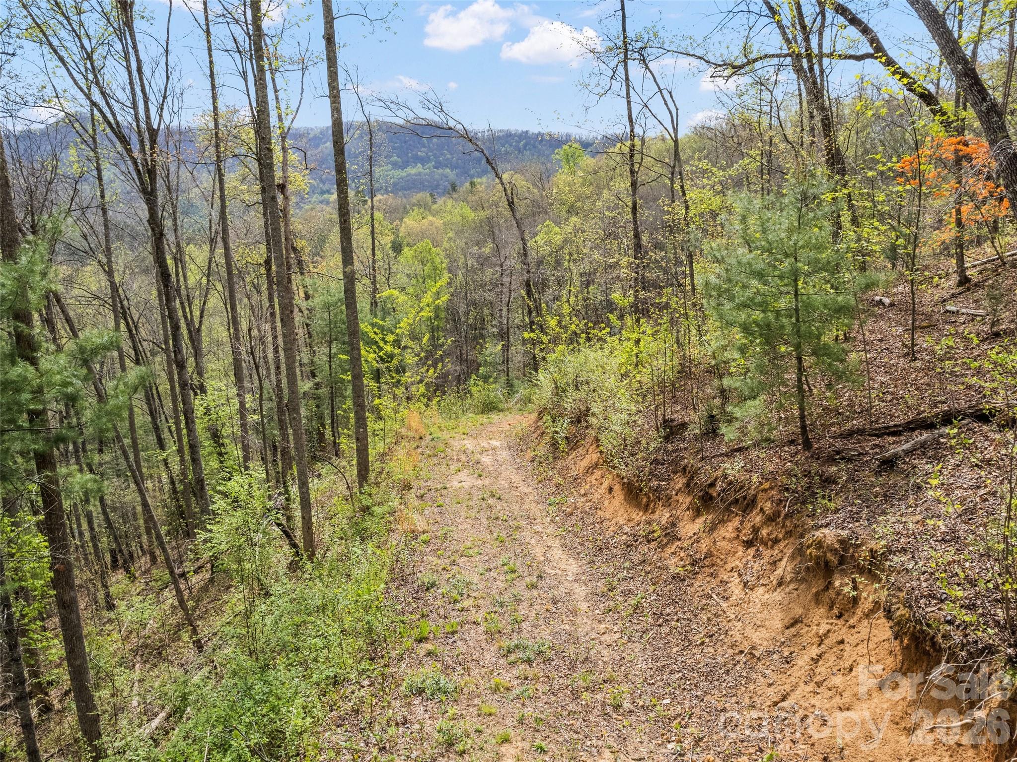 00 Willow Lane Robbinsville NC 28711