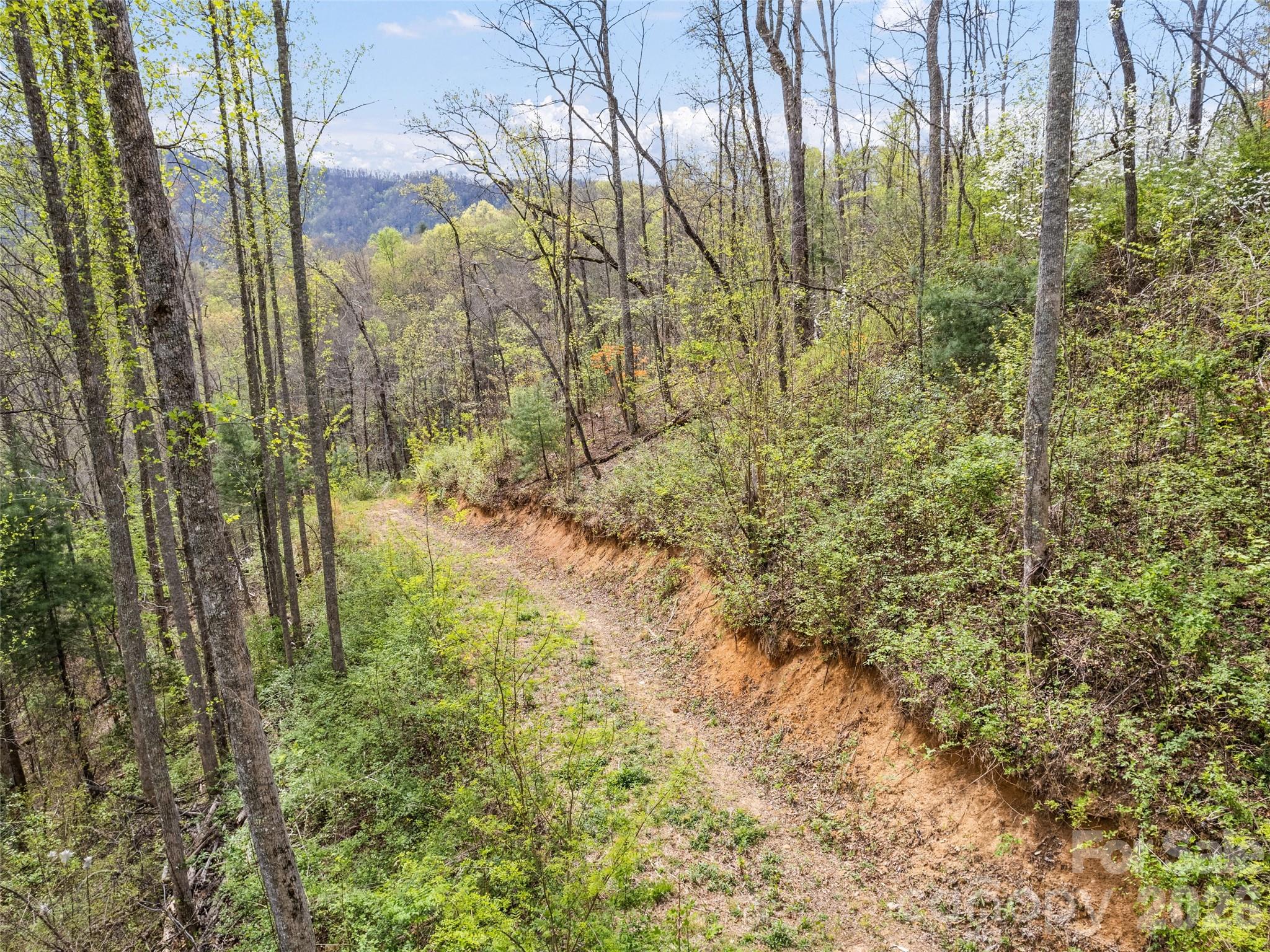 00 Willow Lane Robbinsville NC 28711