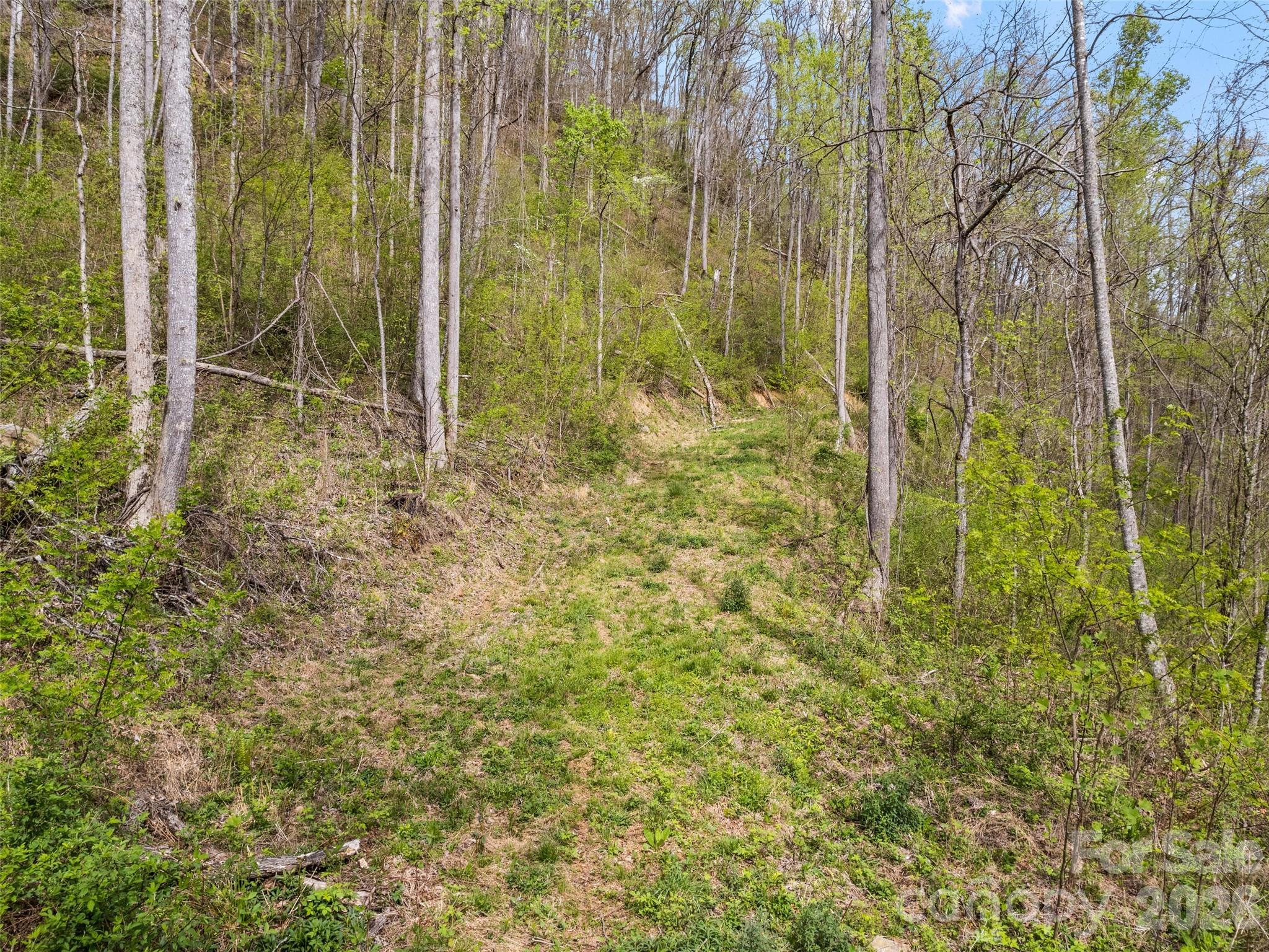 00 Willow Lane Robbinsville NC 28711