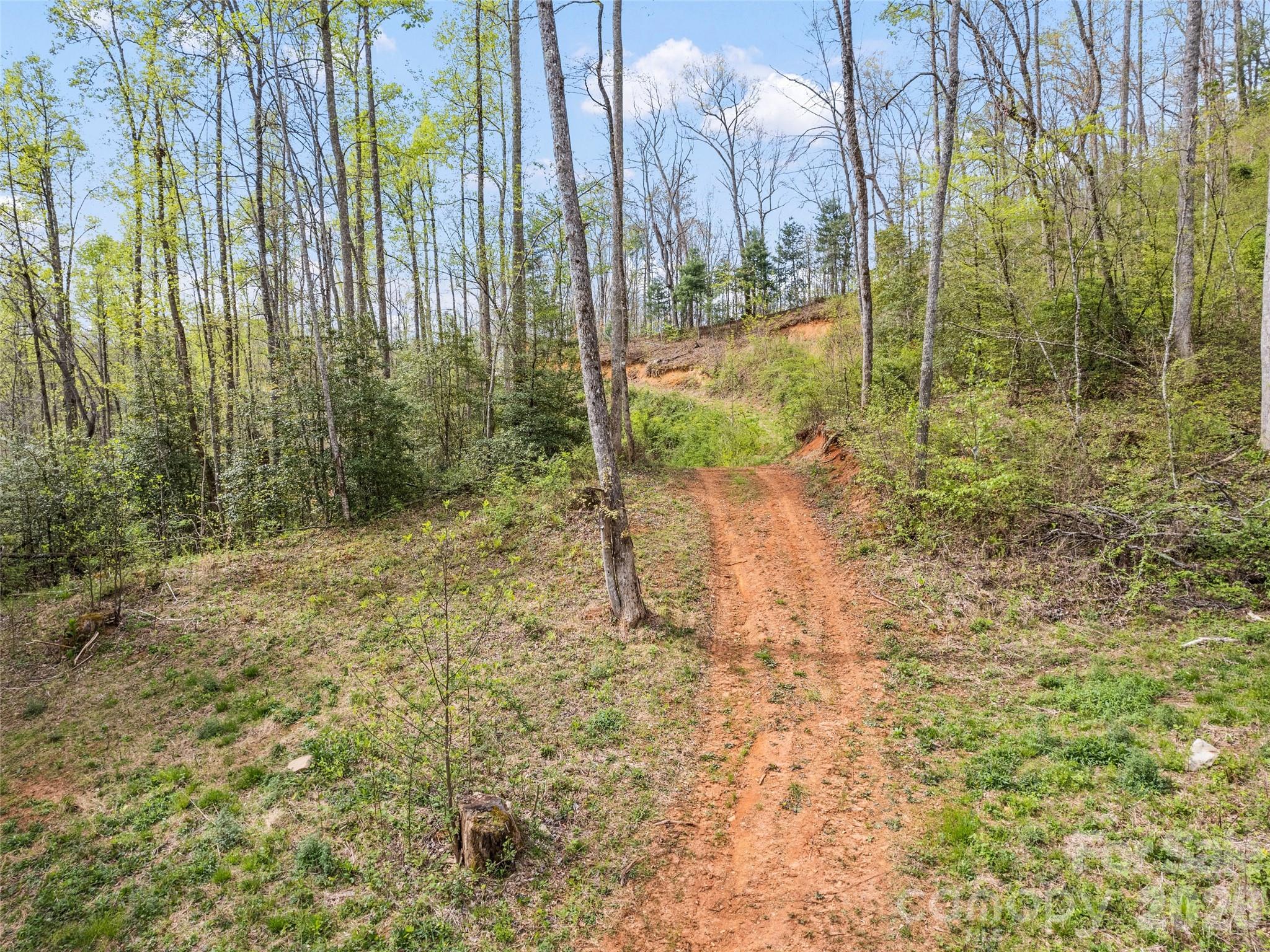00 Willow Lane Robbinsville NC 28711