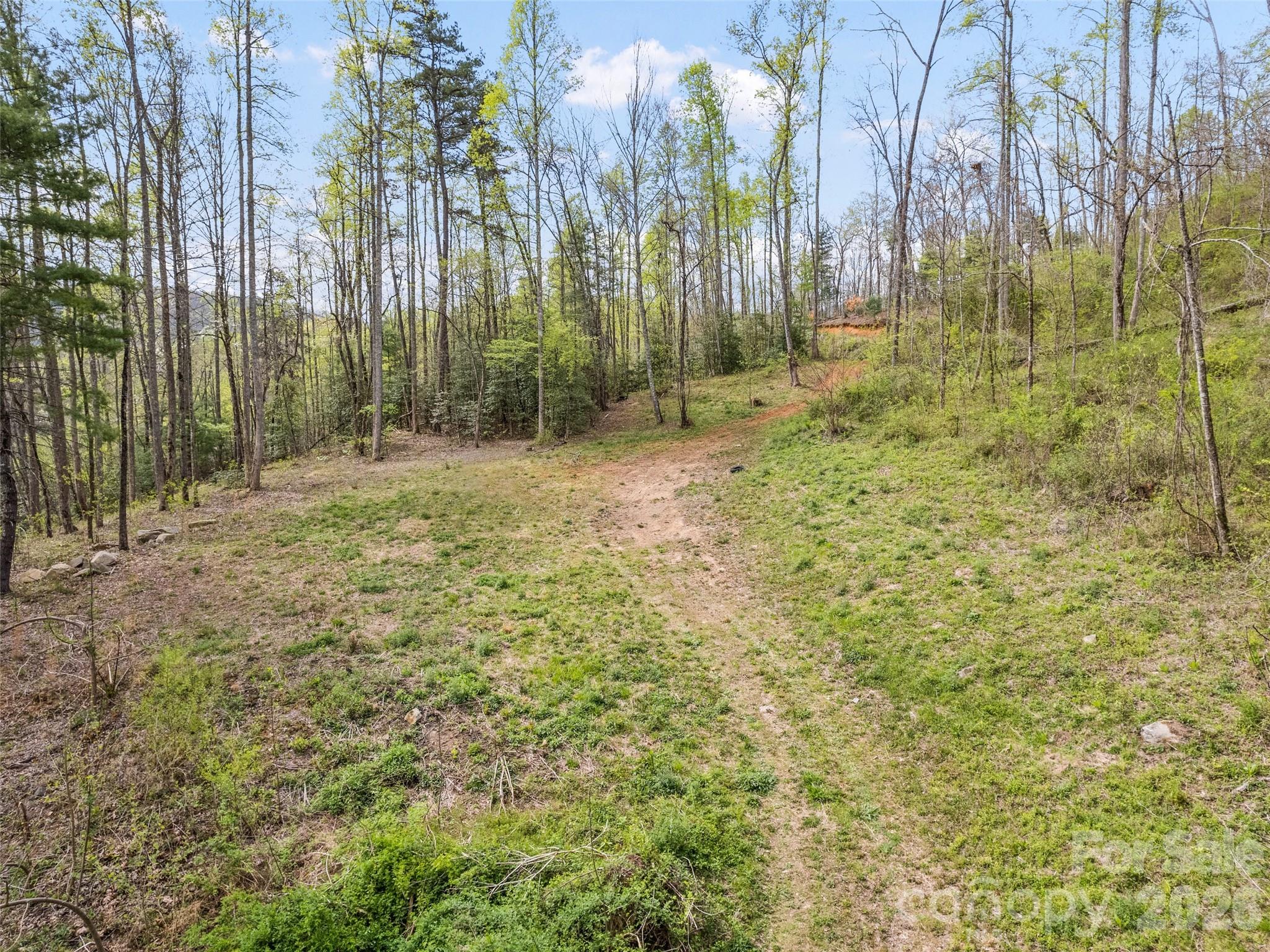 00 Willow Lane Robbinsville NC 28711