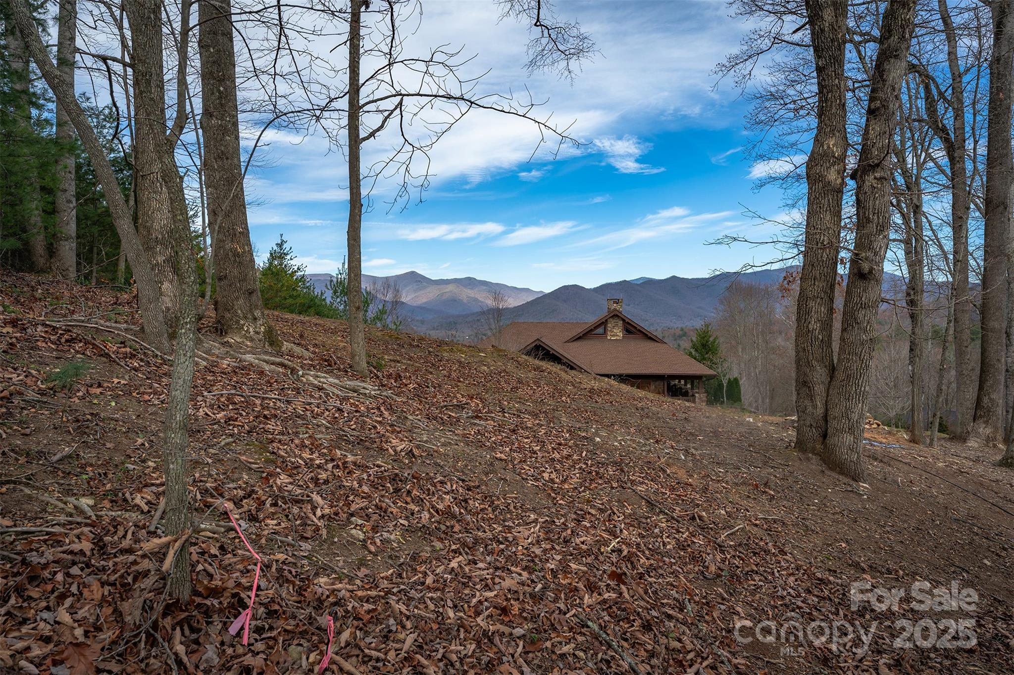 31 Old Lafayette Lane Black Mountain NC 28711