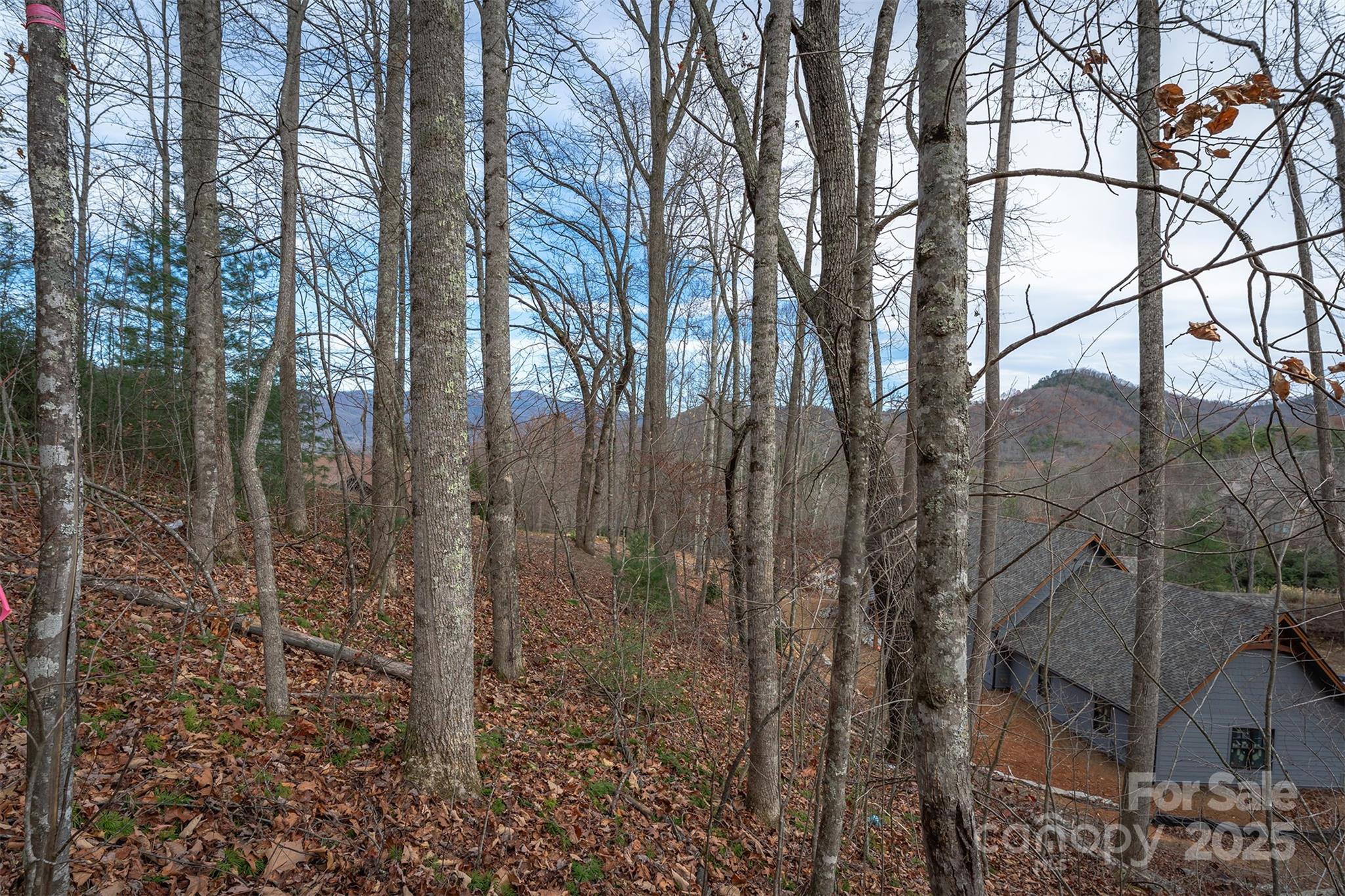 31 Old Lafayette Lane Black Mountain NC 28711