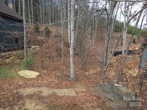 31 Old Lafayette Lane Black Mountain NC 28711
