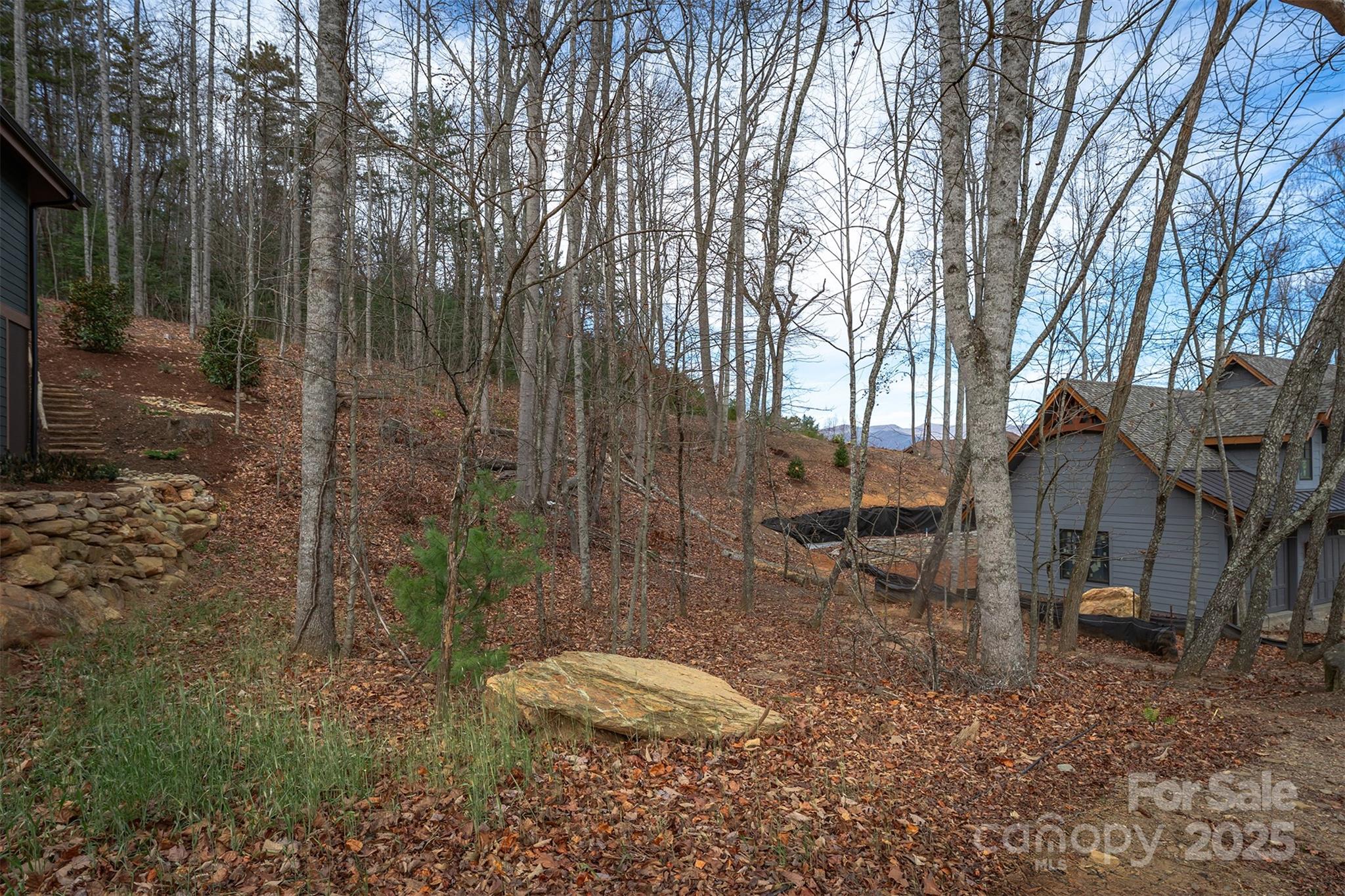 31 Old Lafayette Lane Black Mountain NC 28711