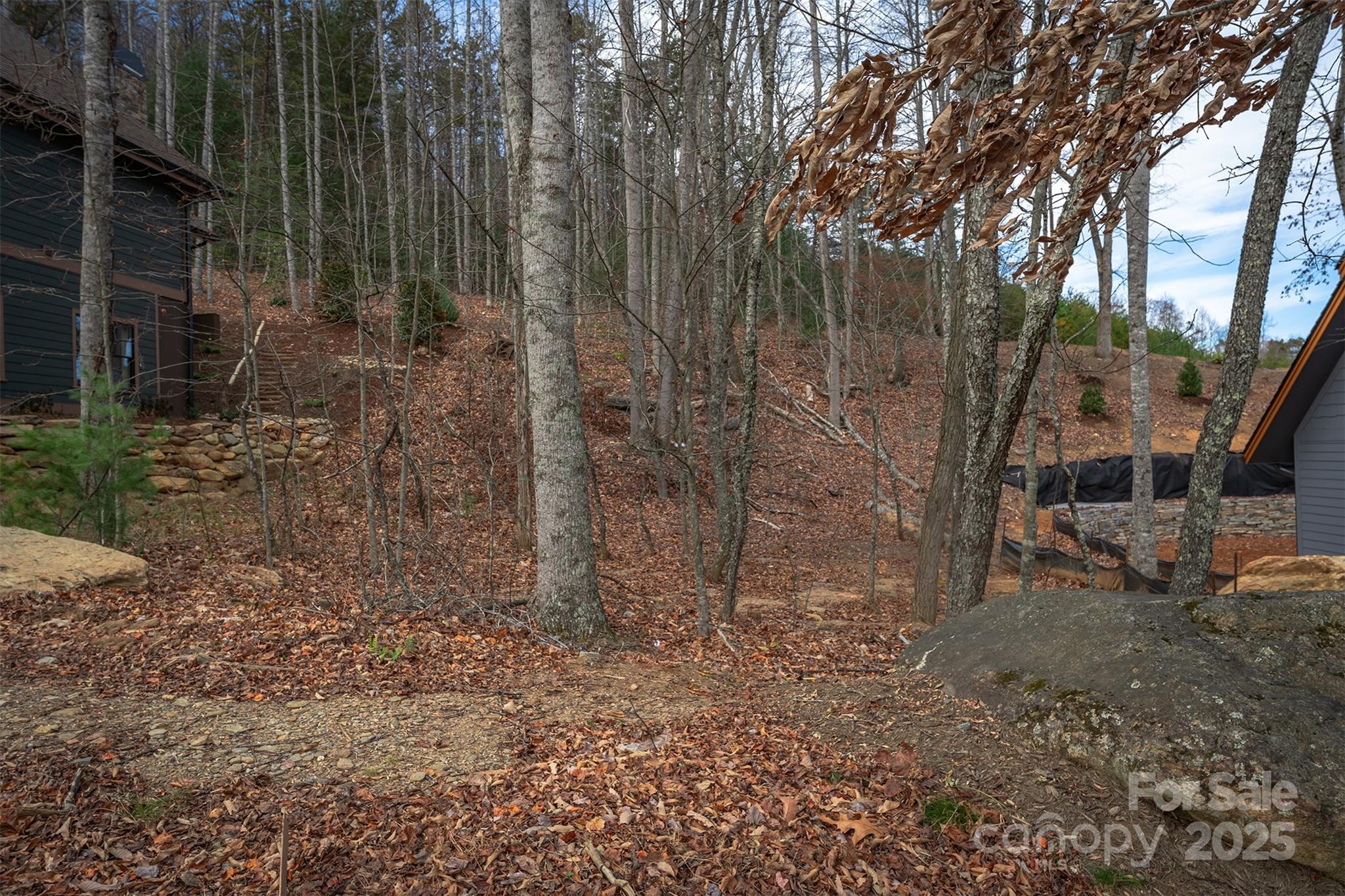 31 Old Lafayette Lane Black Mountain NC 28711