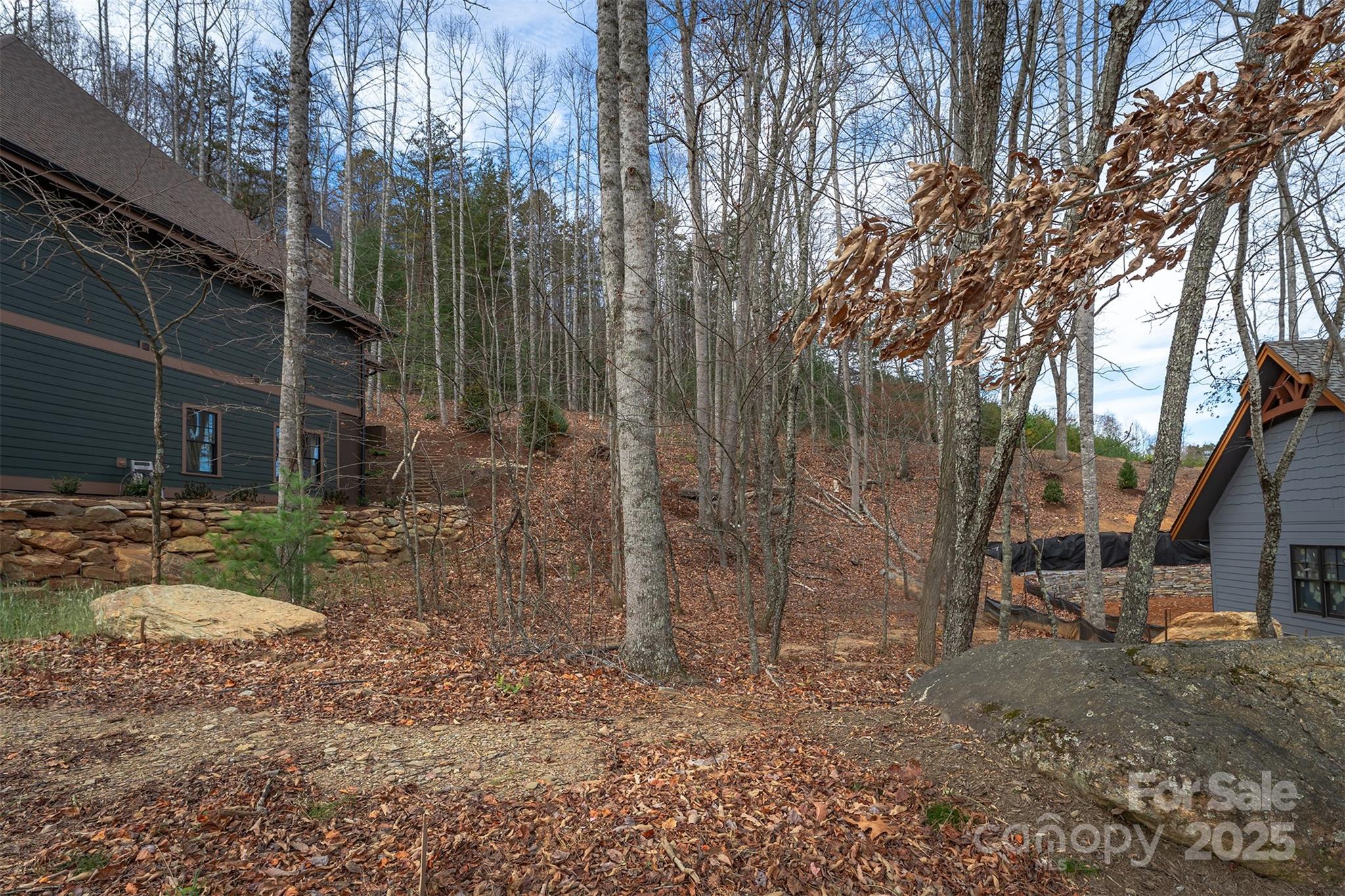 31 Old Lafayette Lane Black Mountain NC 28711