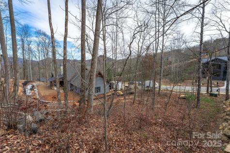 31 Old Lafayette Lane Black Mountain NC 28711
