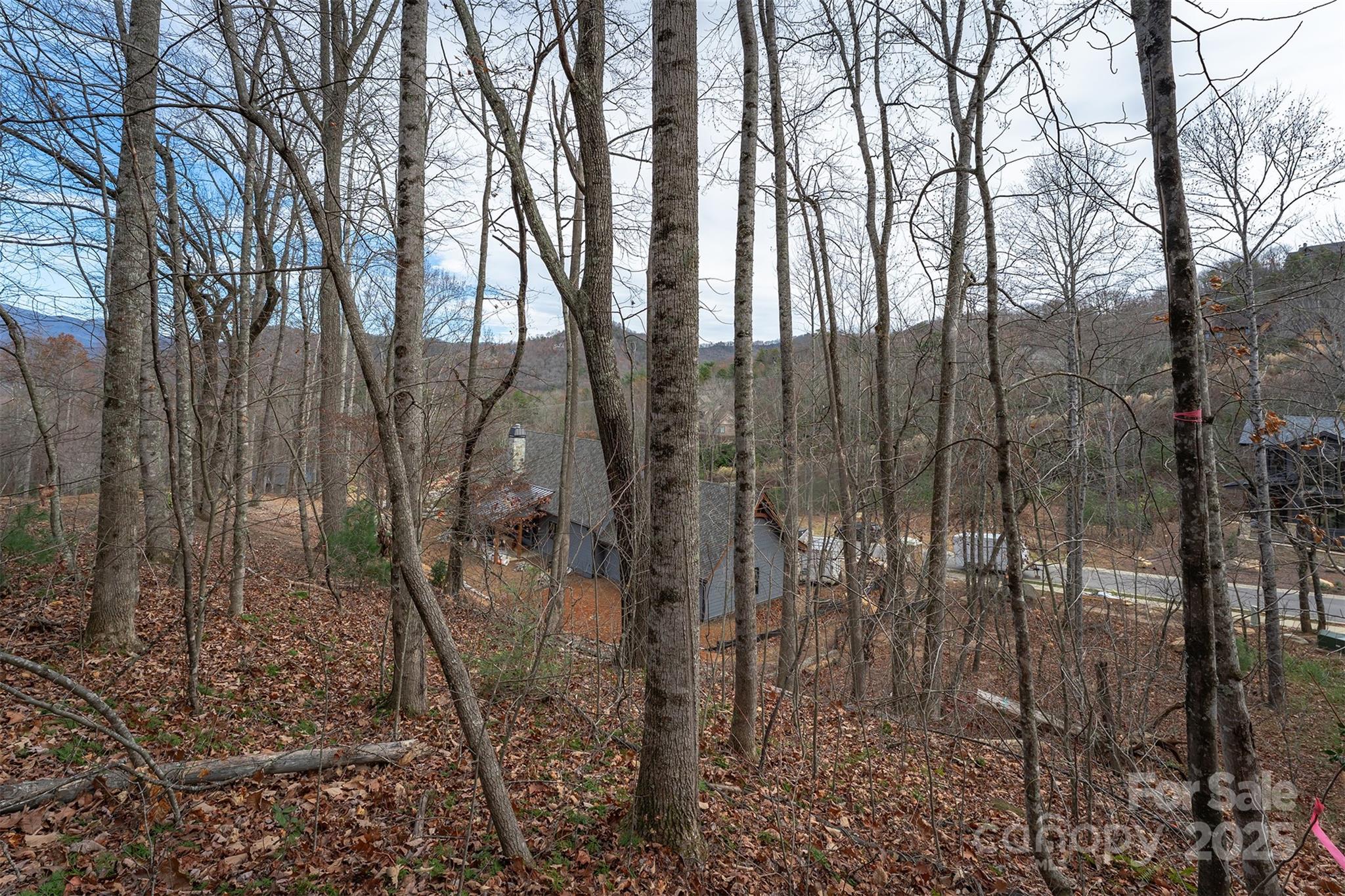 31 Old Lafayette Lane Black Mountain NC 28711