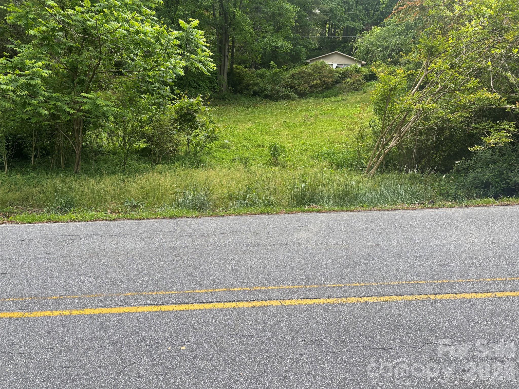00000 Browning Avenue Hendersonville NC 28739