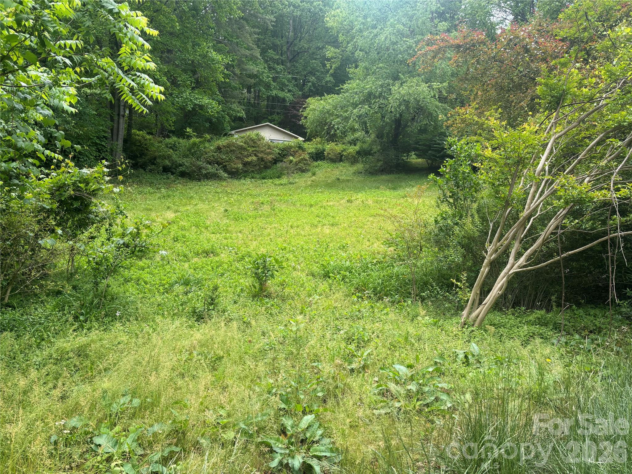 00000 Browning Avenue Hendersonville NC 28739