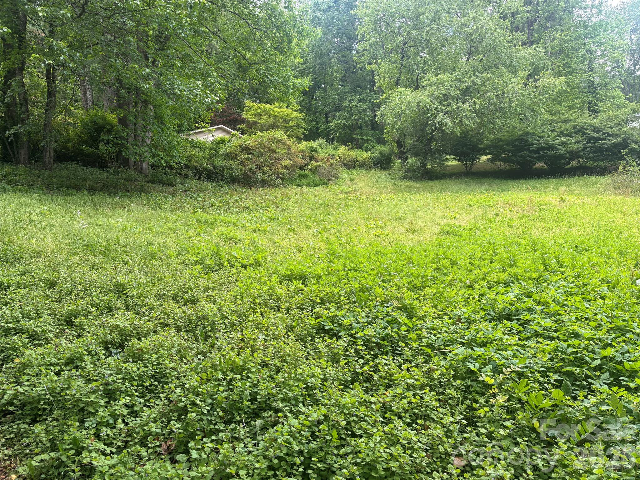00000 Browning Avenue Hendersonville NC 28739