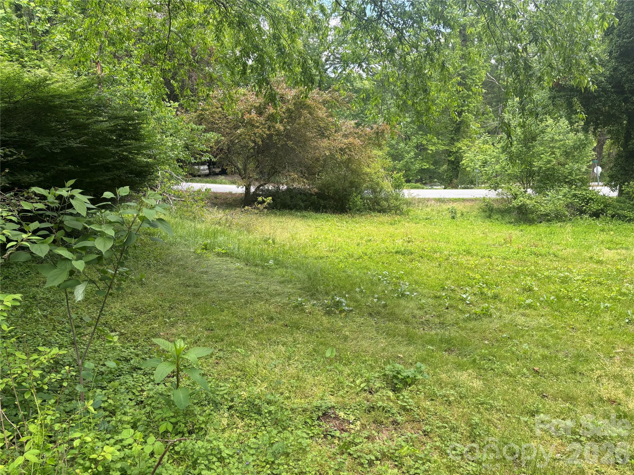 00000 Browning Avenue Hendersonville NC 28739