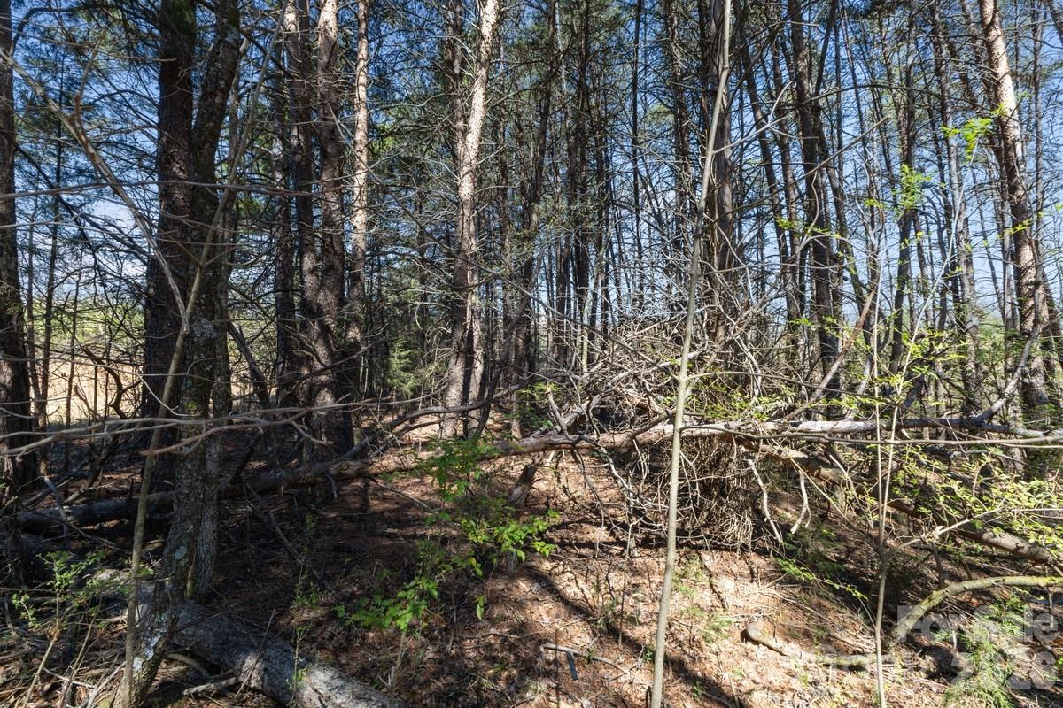 879 E Memorial Highway Harmony NC 28634