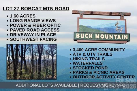 Tbd Bobcat Mountain Road Purlear NC 28665