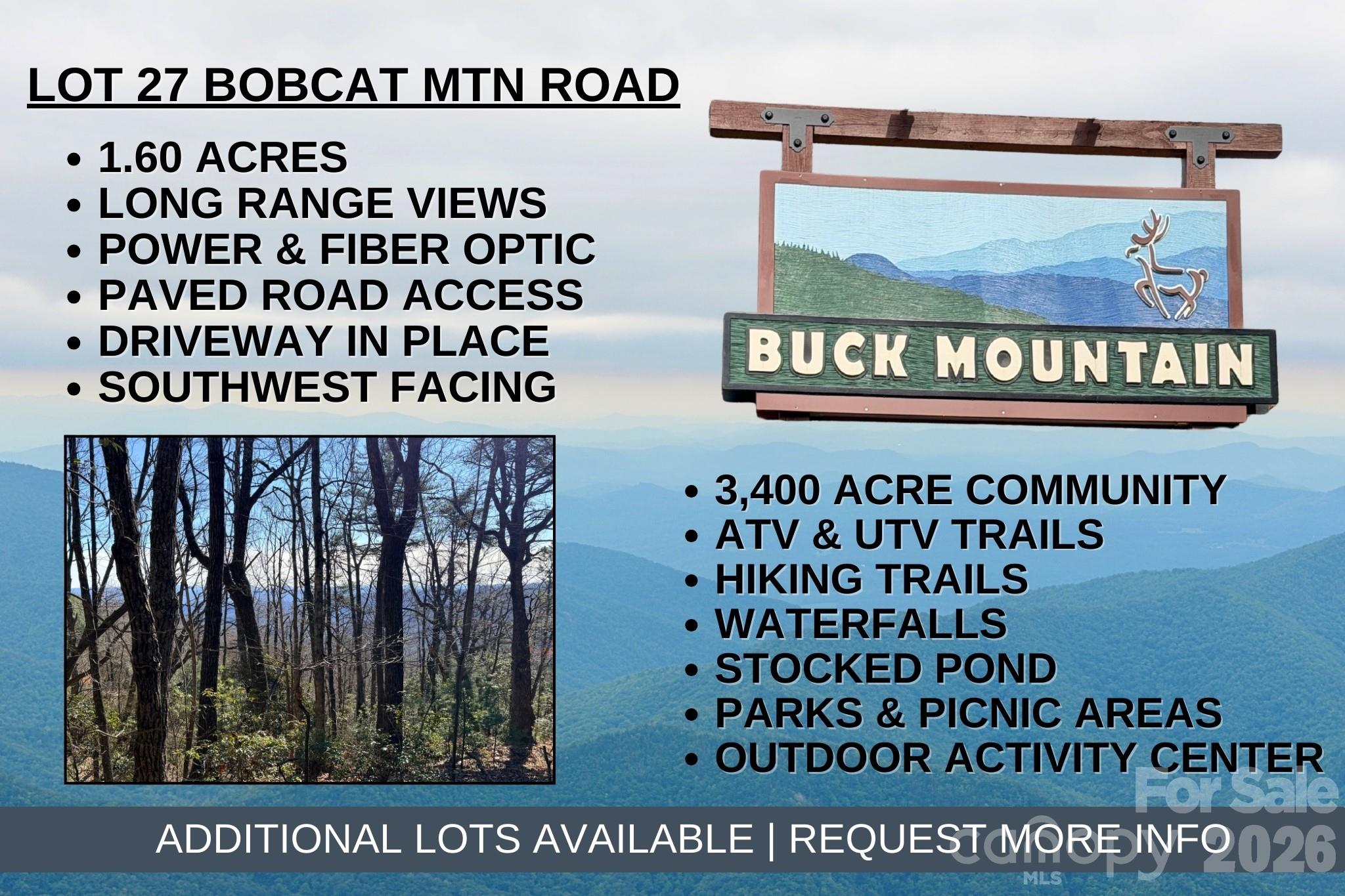 Tbd Bobcat Mountain Road Purlear NC 28665