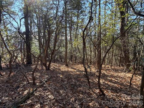 Tbd Bobcat Mountain Road Purlear NC 28665