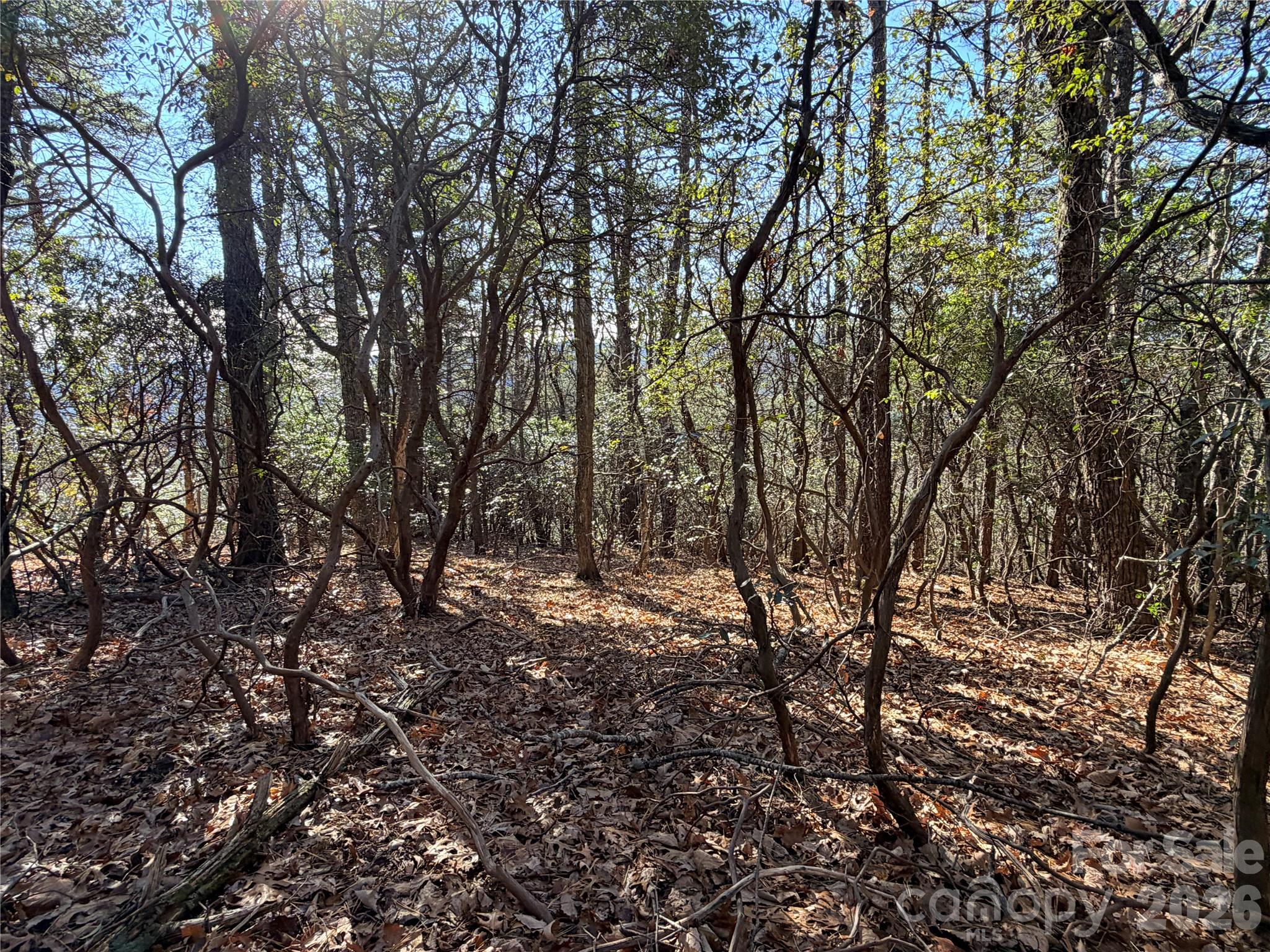 Tbd Bobcat Mountain Road Purlear NC 28665