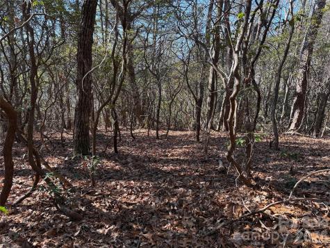 Tbd Bobcat Mountain Road Purlear NC 28665