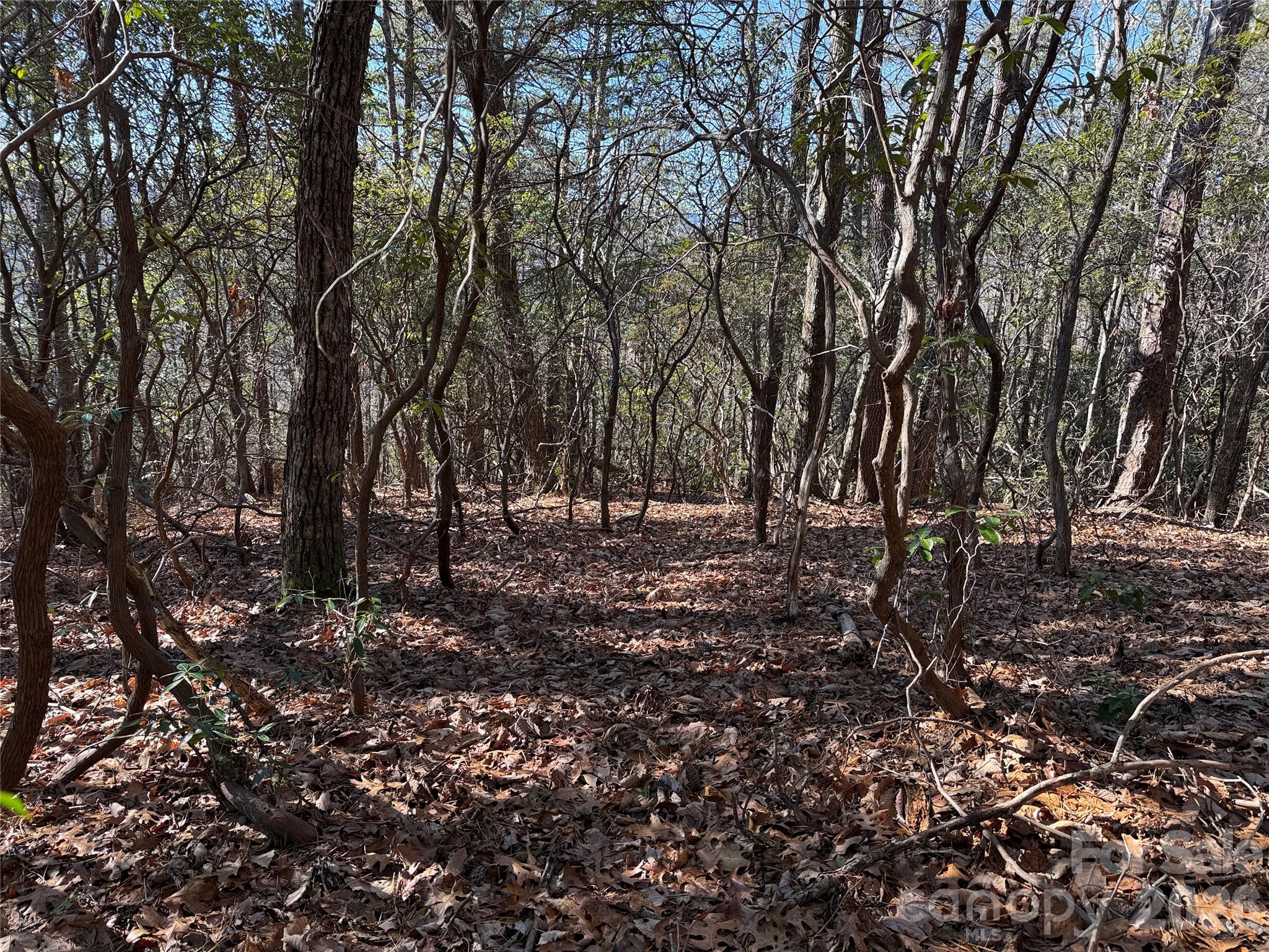 Tbd Bobcat Mountain Road Purlear NC 28665