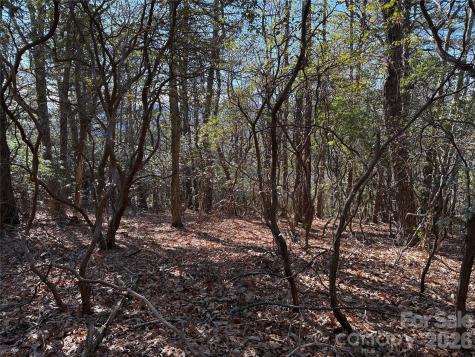 Tbd Bobcat Mountain Road Purlear NC 28665