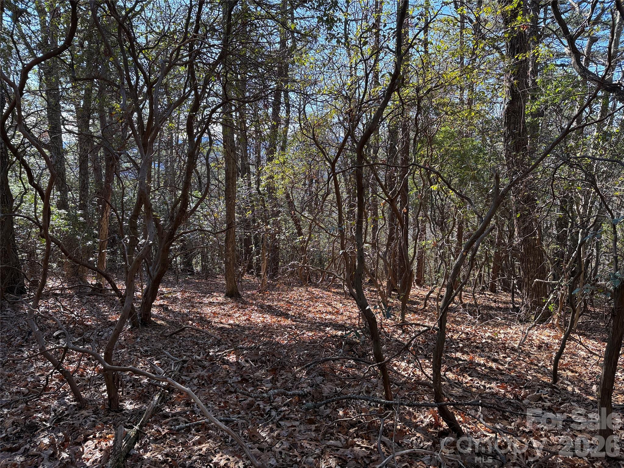 Tbd Bobcat Mountain Road Purlear NC 28665