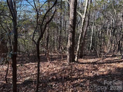 Tbd Bobcat Mountain Road Purlear NC 28665